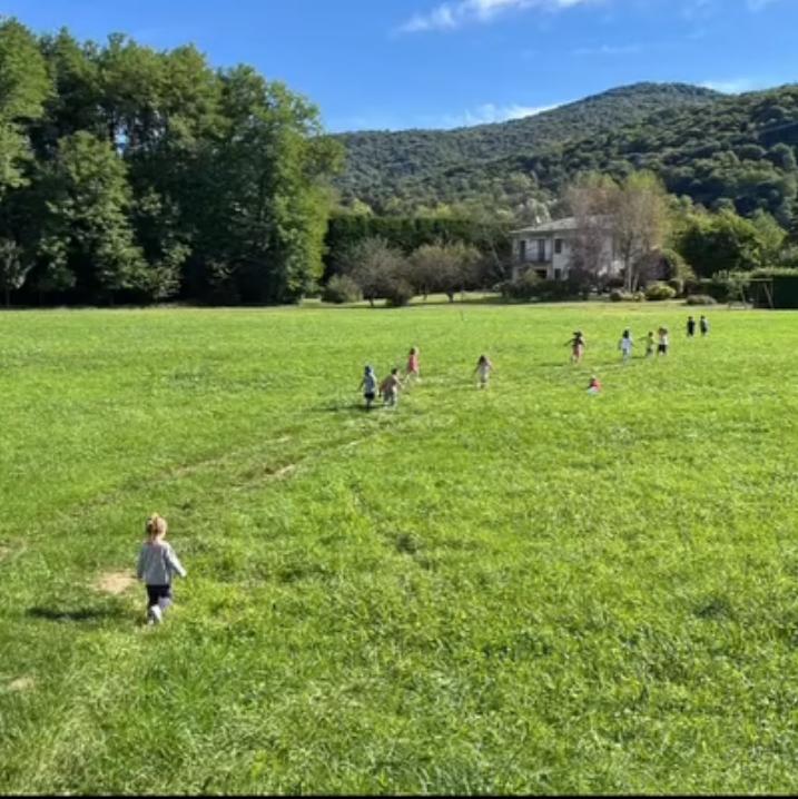Esplorazione del prato
